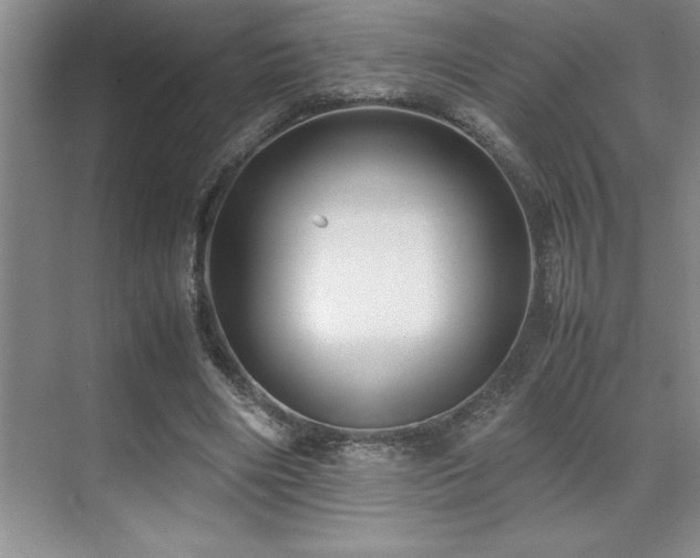 X0000071950490200607071214