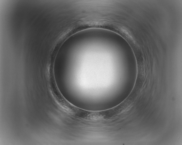 X0000071950491200607071214