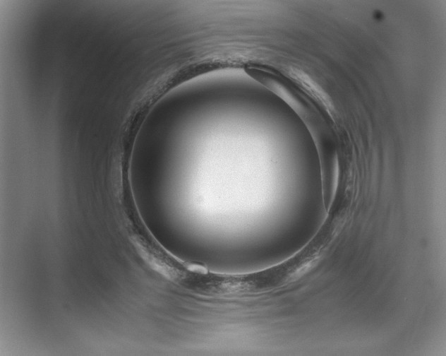 X0000071950493200607071214