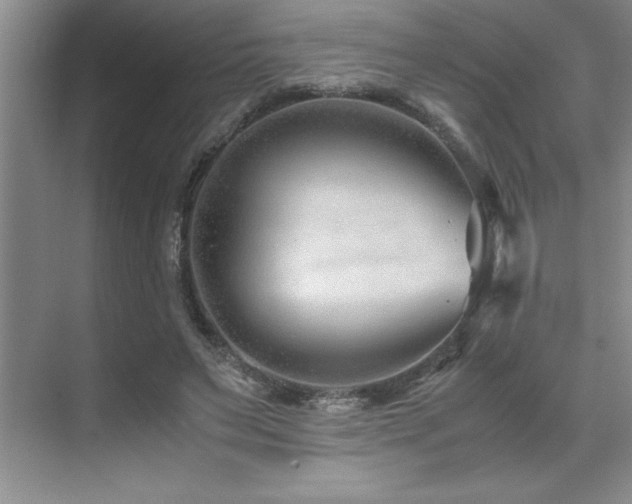 X0000071950495200607071214