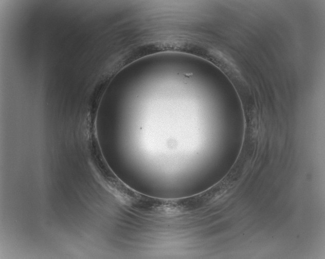 X0000071950498200607071214