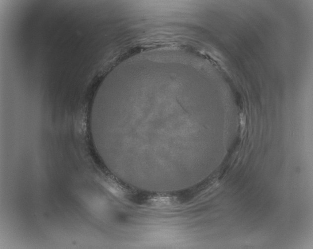 X0000071950499200607071214