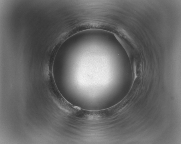 X0000071950500200607071214