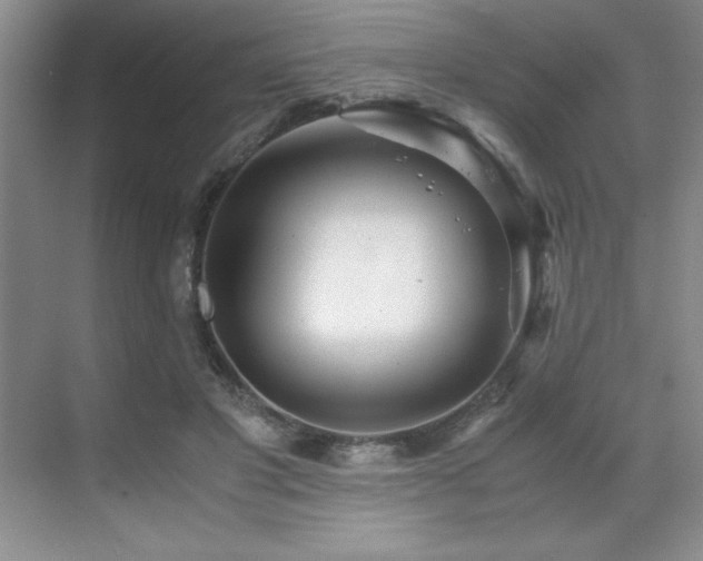 X0000071950501200607071213