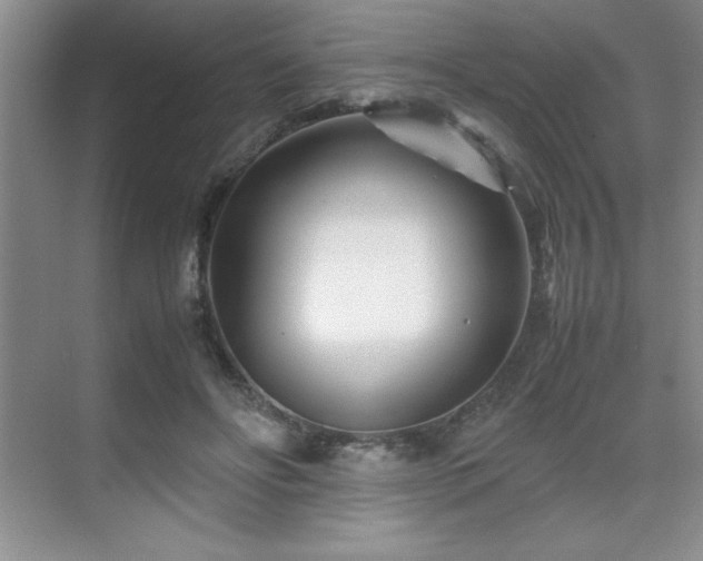 X0000071950502200607071213