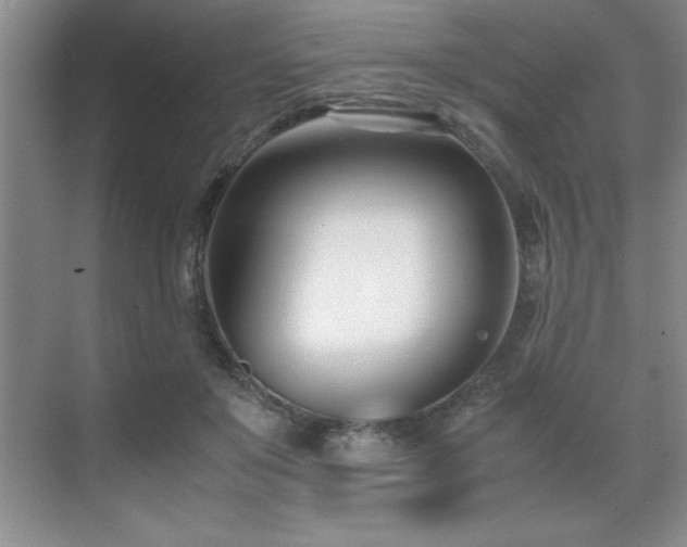 X0000071950503200607071213