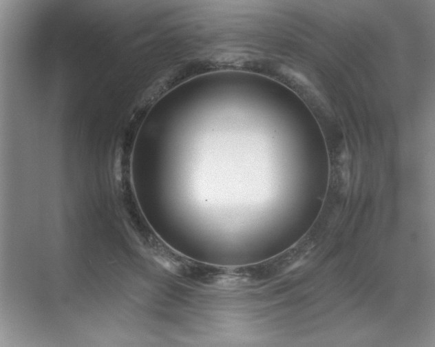 X0000071950504200607071213