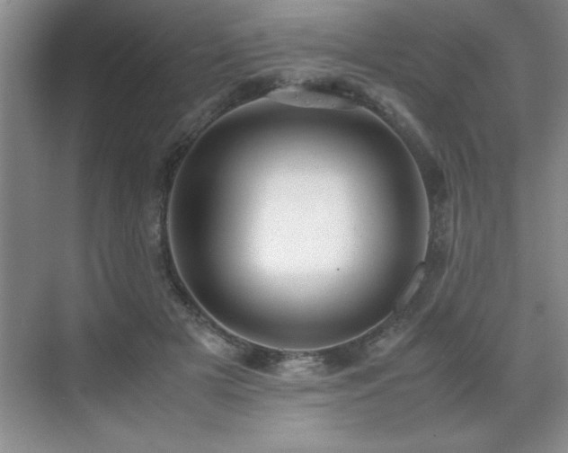 X0000071950505200607071213