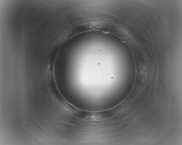 X0000071950506200607071213