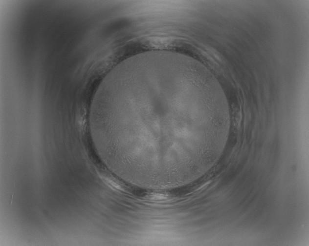 X0000071950507200607071213