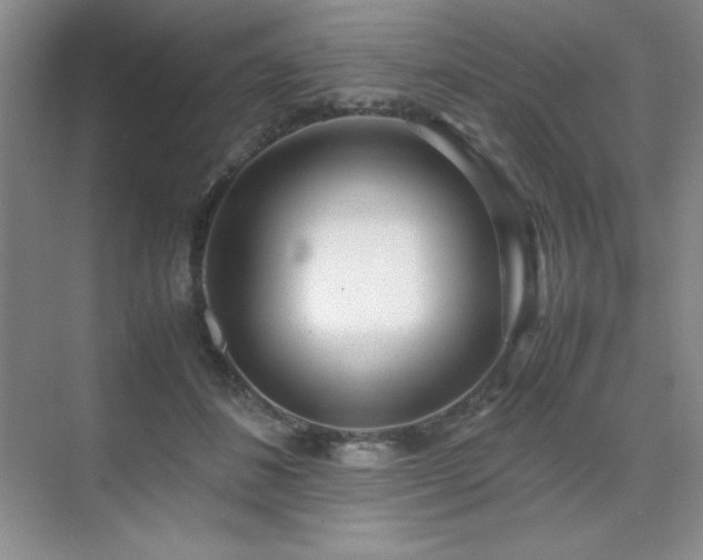 X0000071950508200607071213