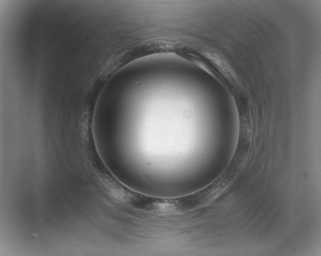 X0000071950509200607071213