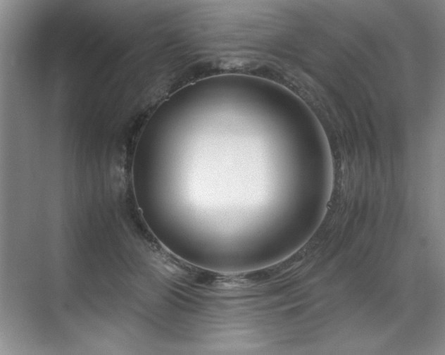 X0000071950510200607071213