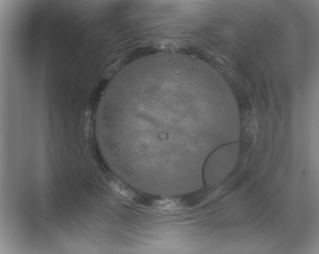 X0000071950511200607071213