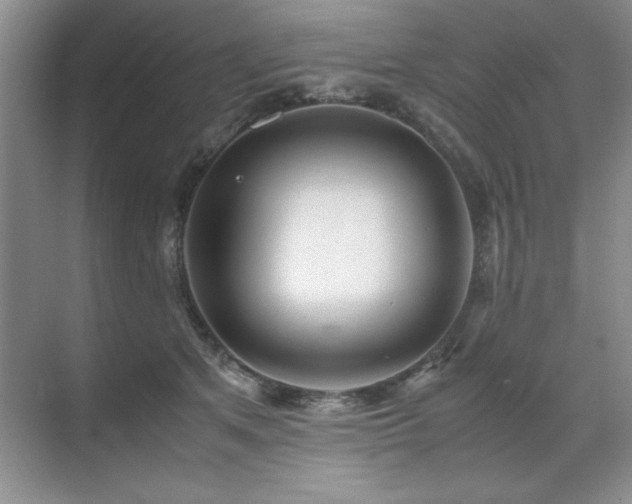 X0000071950513200607071213