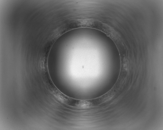 X0000071950514200607071213