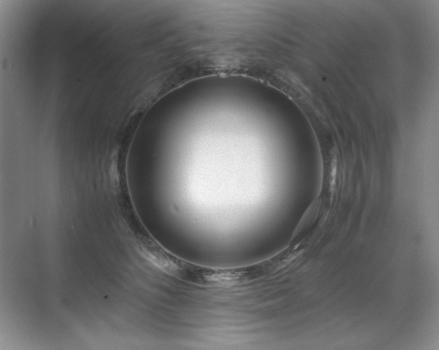 X0000071950516200607071213