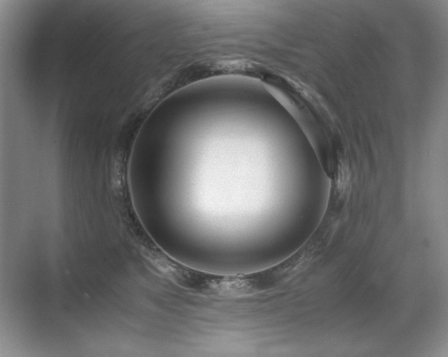 X0000071950517200607071213