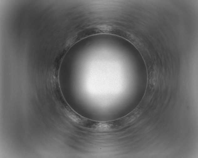 X0000071950518200607071213