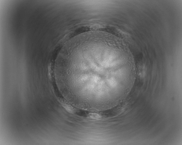 X0000071950519200607071213