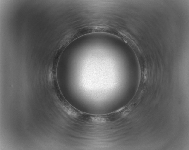 X0000071950520200607071213