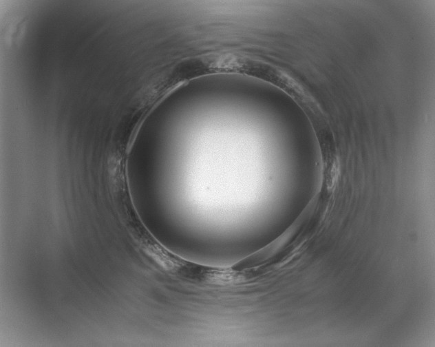 X0000071950521200607071213