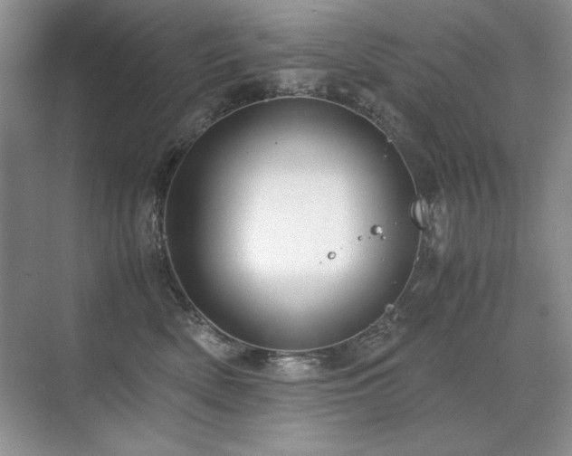 X0000071950522200607071213