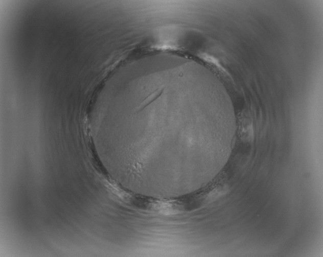 X0000071950523200607071213