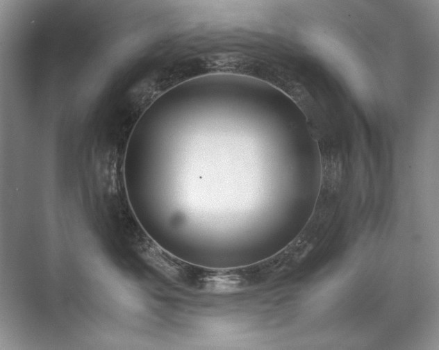 X0000071950525200607071213