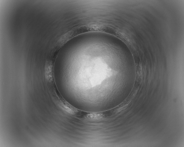 X0000071950526200607071213