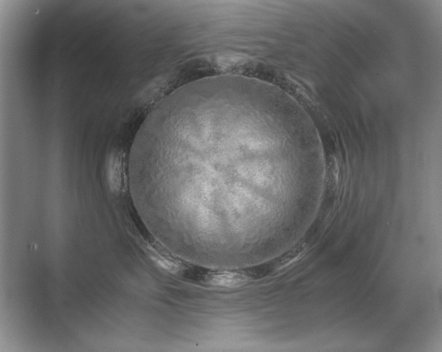 X0000071950527200607071213