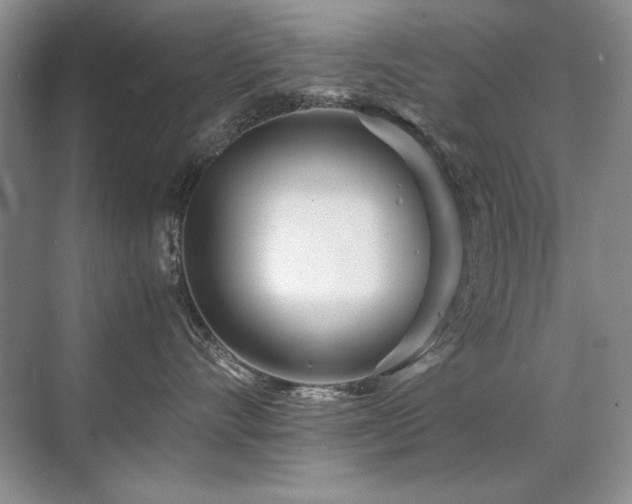 X0000071950528200607071213