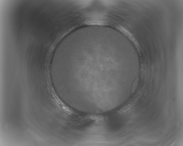 X0000071950529200607071212