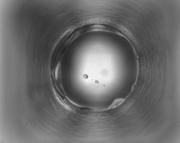 X0000071950530200607071212