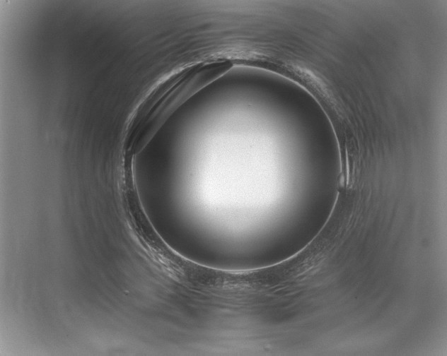 X0000071950531200607071212