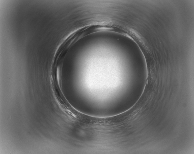 X0000071950532200607071212