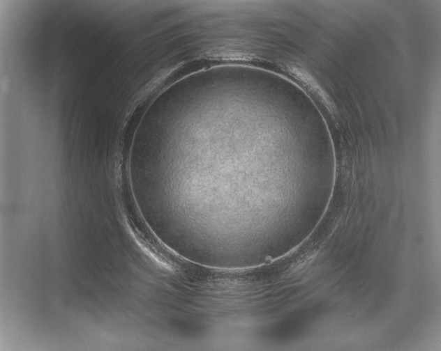 X0000071950533200607071212