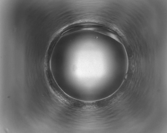 X0000071950536200607071212