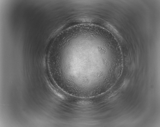 X0000071950537200607071212