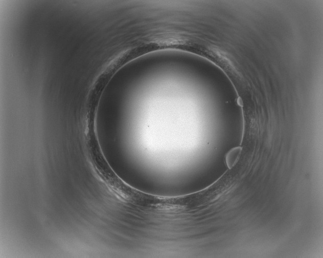 X0000071950539200607071212