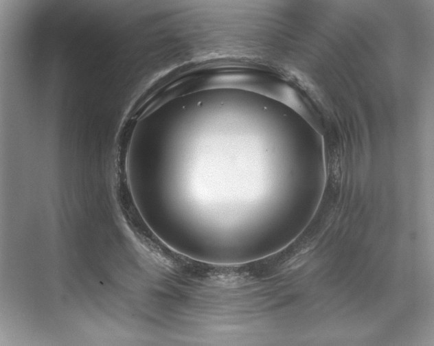 X0000071950540200607071212