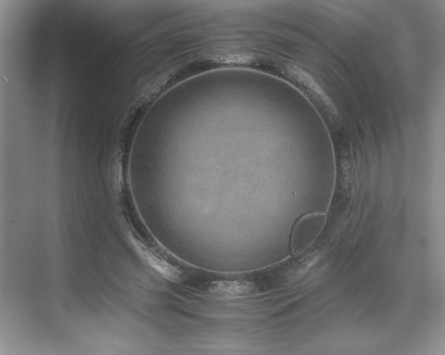 X0000071950541200607071212