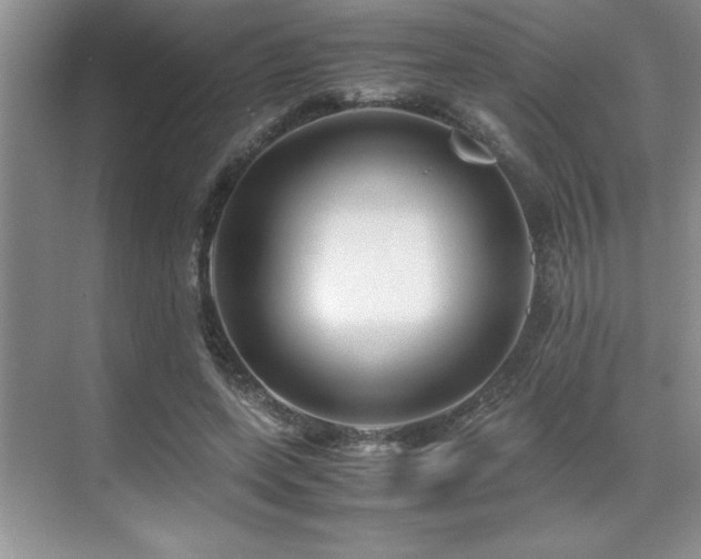 X0000071950543200607071212