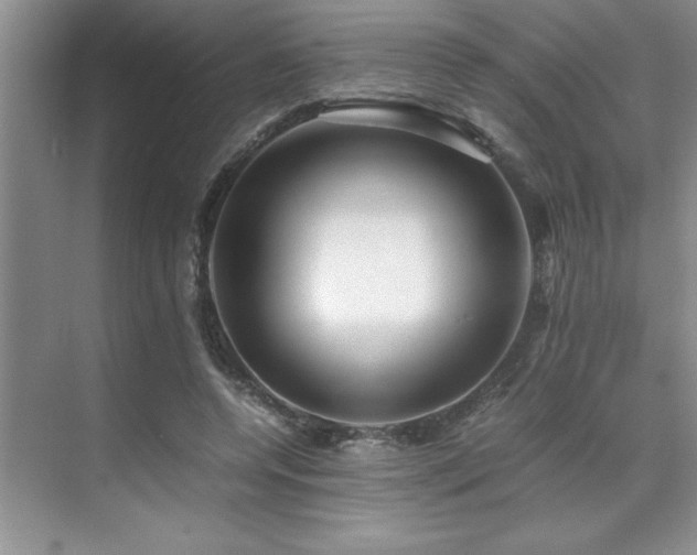 X0000071950544200607071212