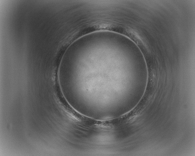 X0000071950545200607071213