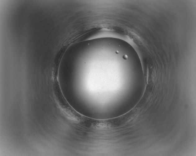 X0000071950546200607071213