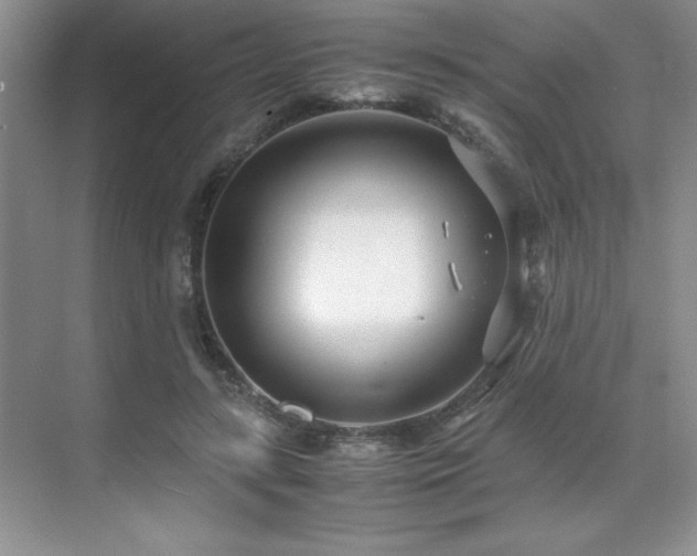 X0000071950547200607071213