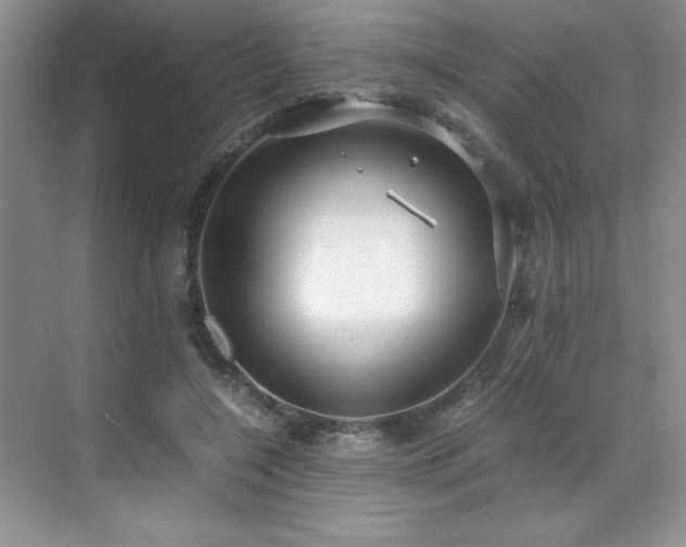 X0000071950548200607071213