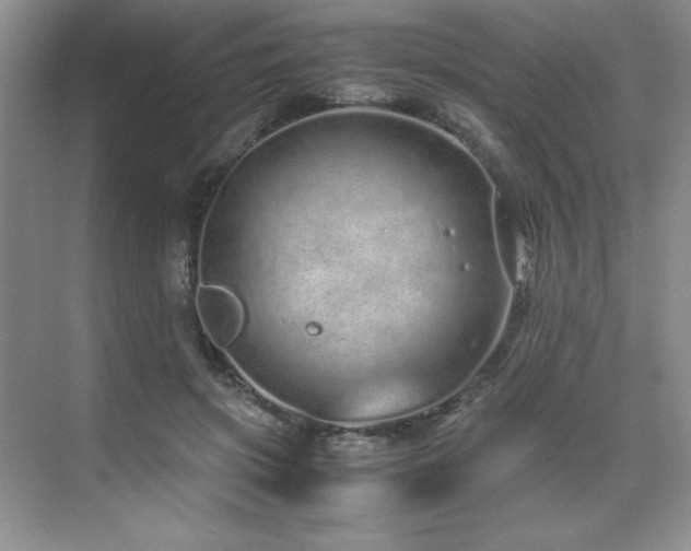 X0000071950549200607071213