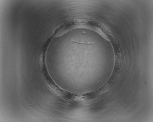 X0000071950550200607071213